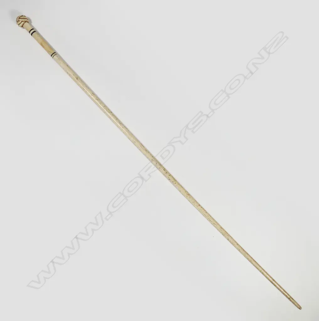 A late 19thC fine whalebone walking stick, Image 1++