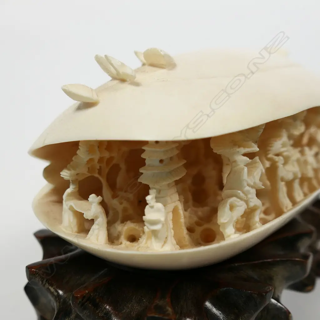 A large ivory dream shell, Image 1++