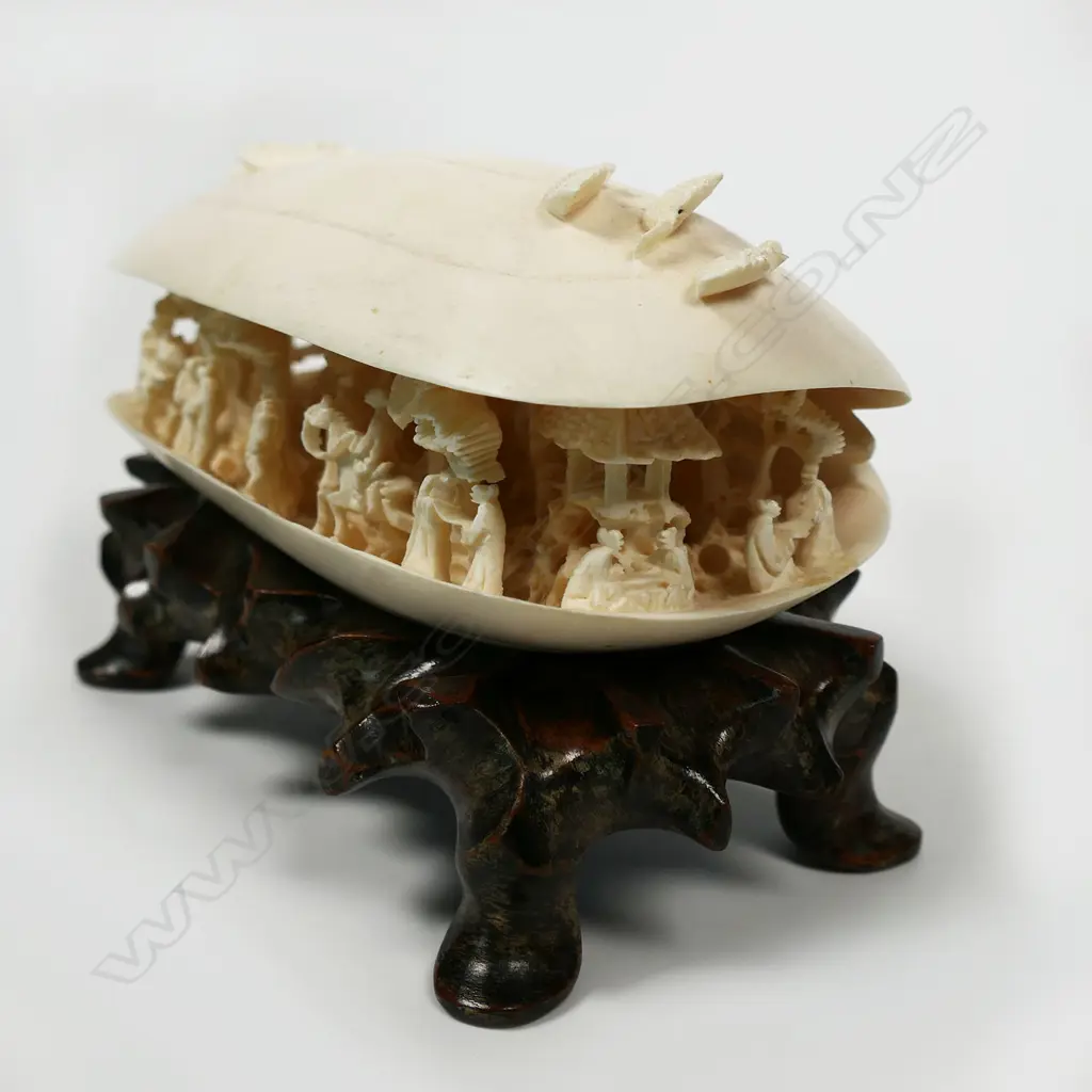 A large ivory dream shell, Image 1++