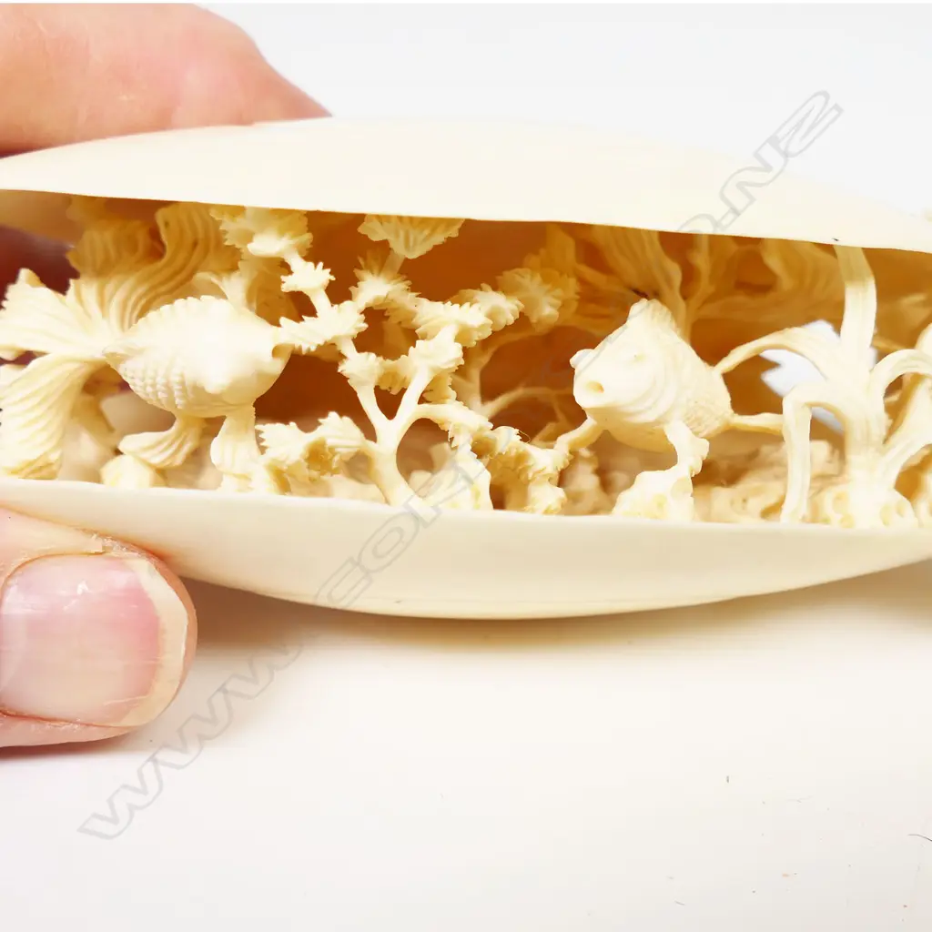 A carved ivory double dream shell, Image 1++