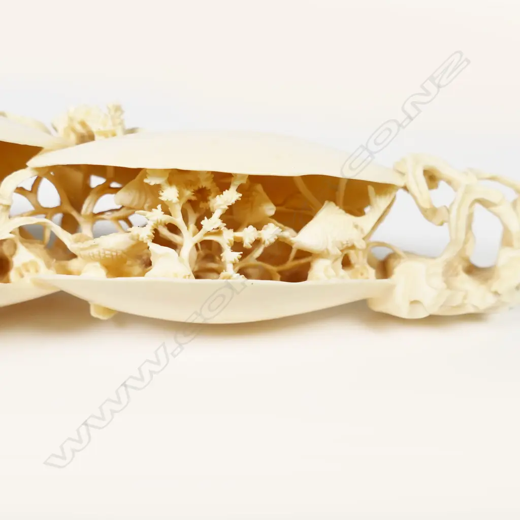 A carved ivory double dream shell, Image 1++