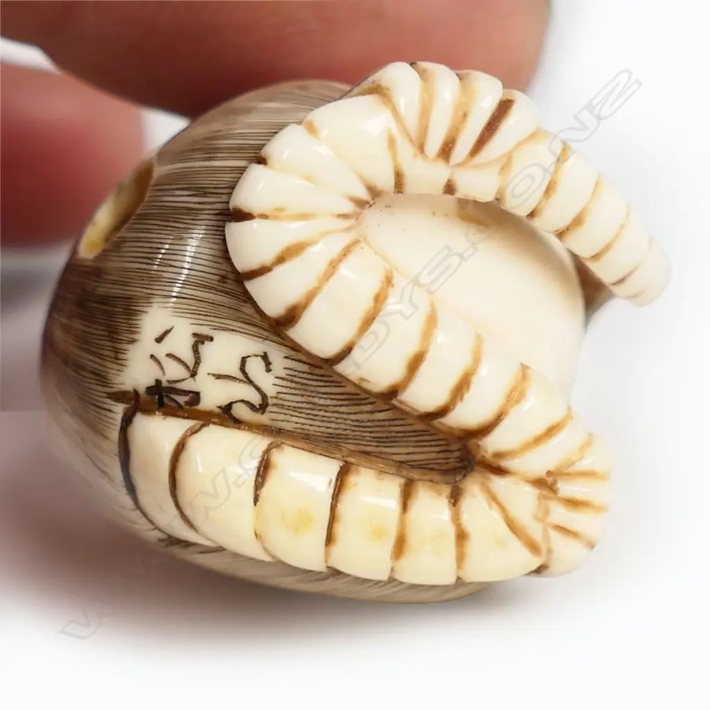 A Japanese ivory netsuke, Image 1++