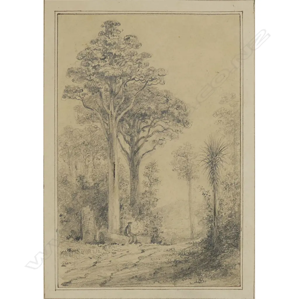 William Swainson (1789-1855) attributed three drawings, Image 1++