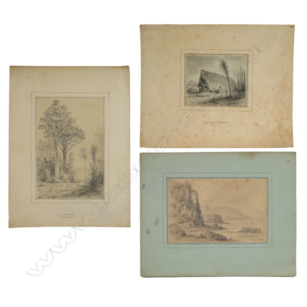 William Swainson (1789-1855) attributed three drawings, Image 1++