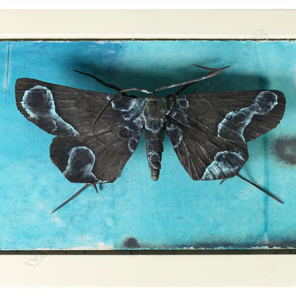 Elizabeth Thomson (NZ 1955-) untitled moth on panel, Image 1++