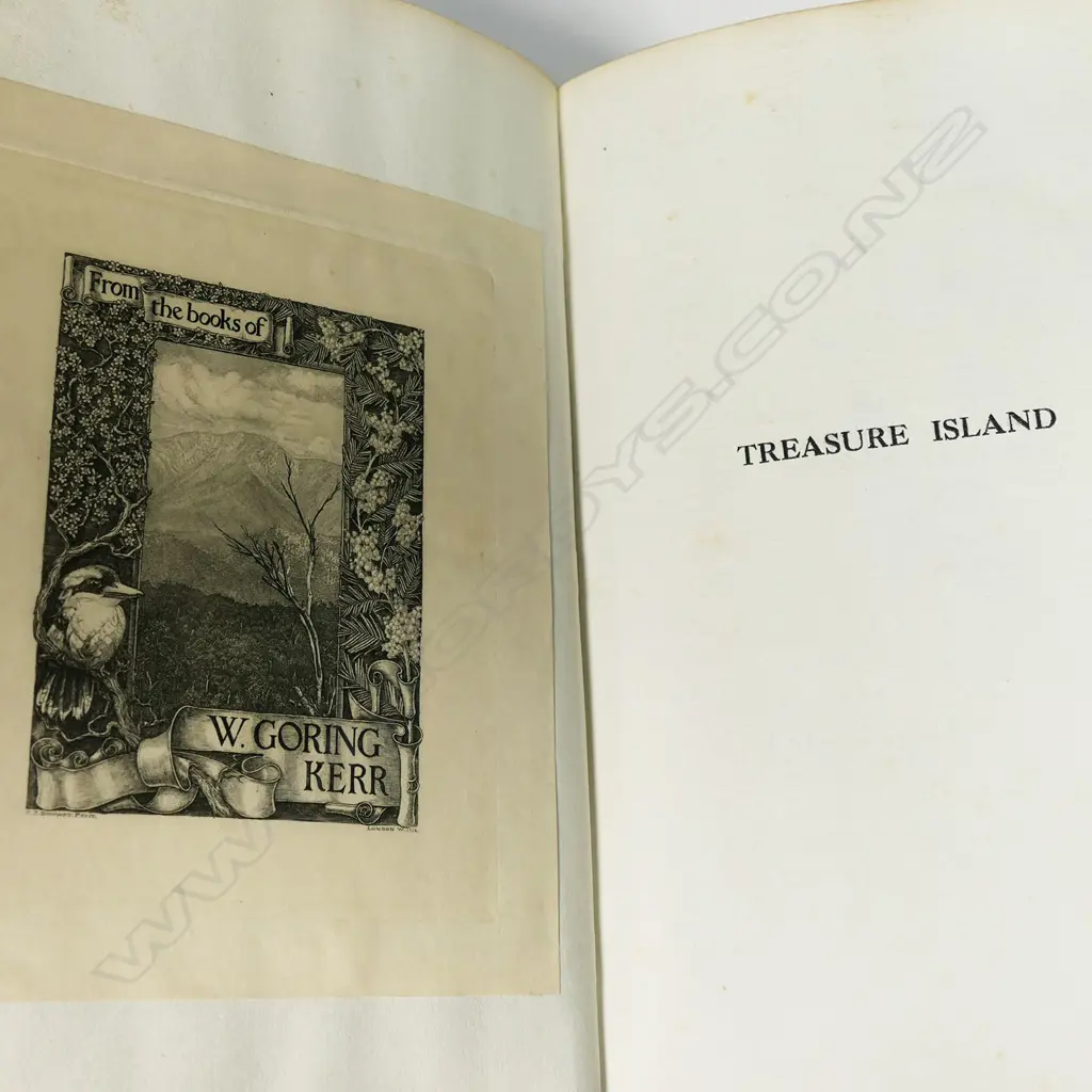 An early 1900s copy of Treasure Island by Robert Louis Stevenson, Image 1++