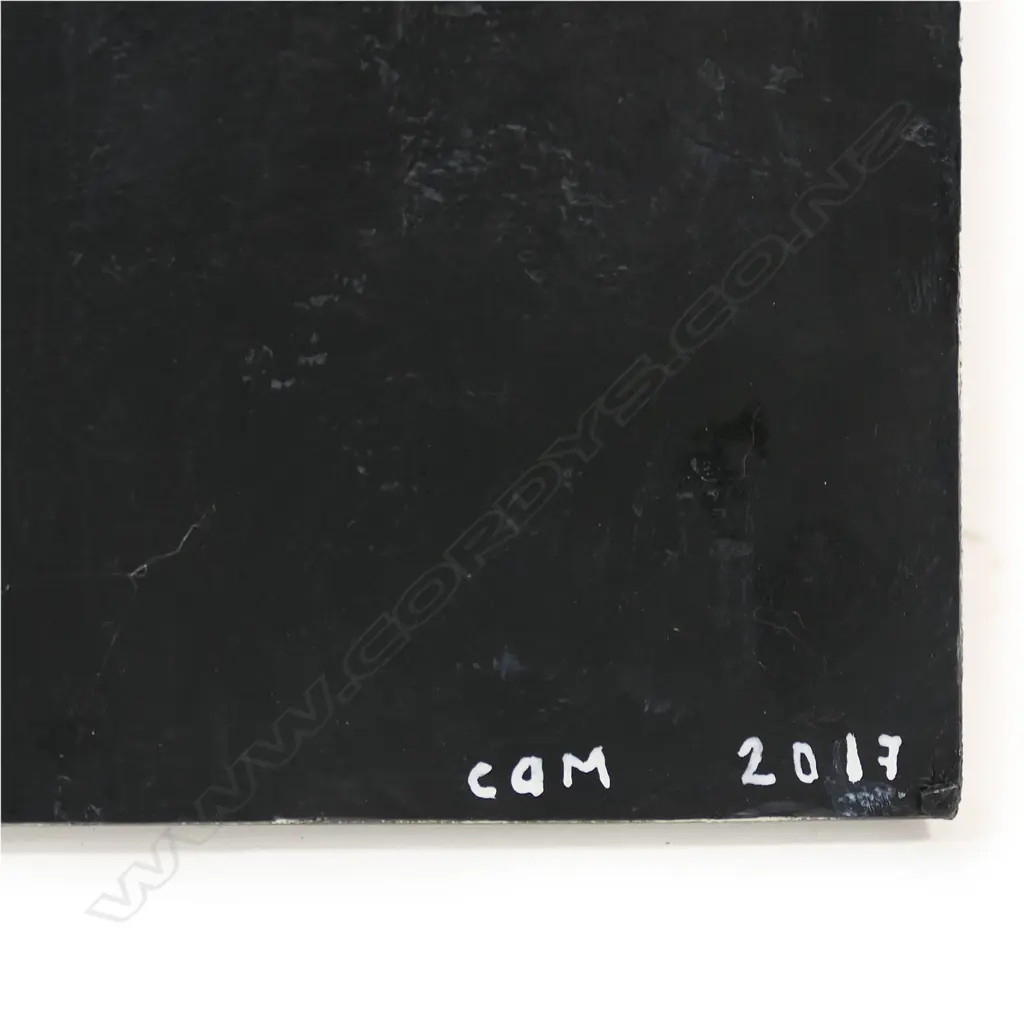 Cam Munroe (1972-) 'Inverted Conical Palisade', Image 1++