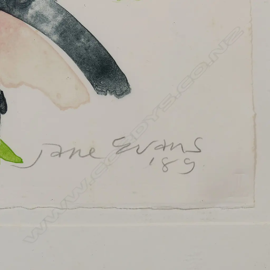 Jane Evans (NZ 1946-2012) 'Well Here Goes', Image 1++