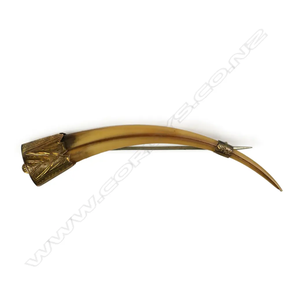 A rare female huia beak and gold brooch, Image 1++