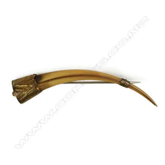A rare female huia beak and gold brooch,