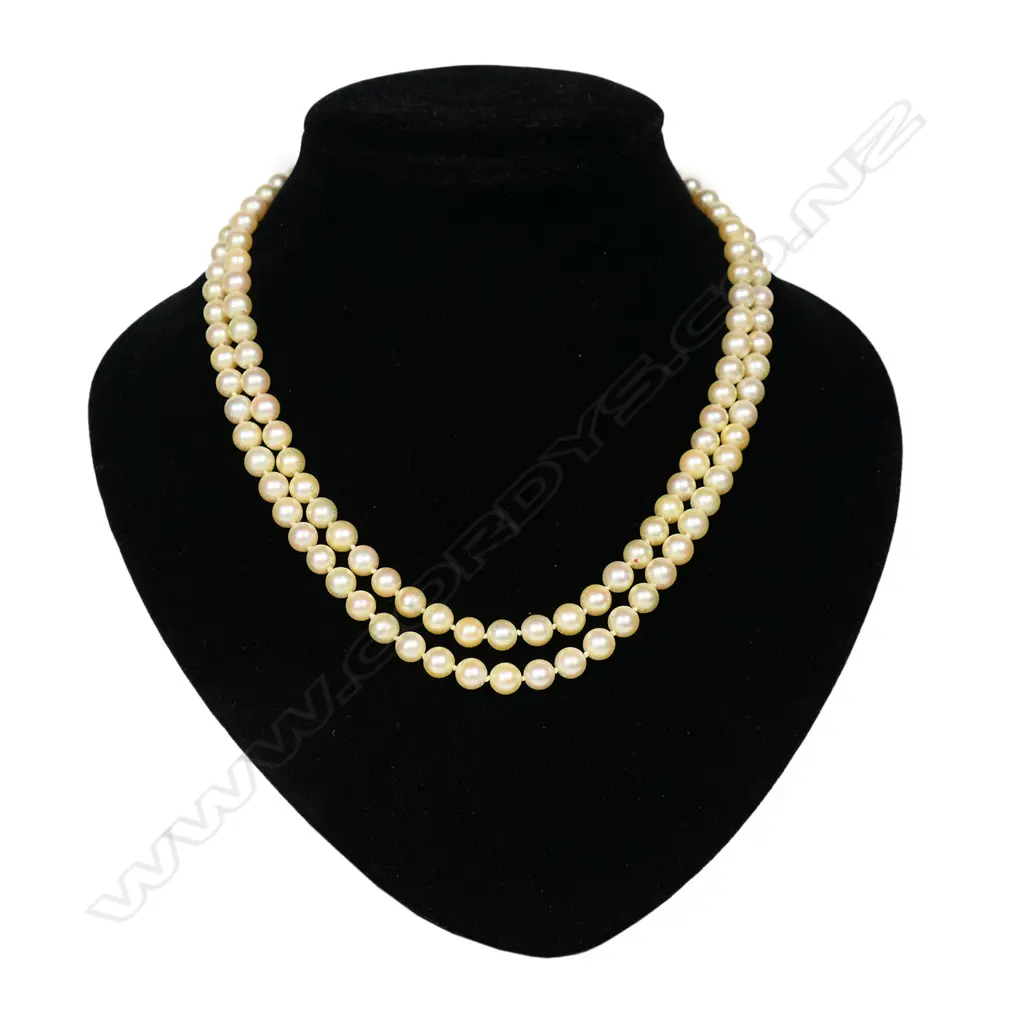 A double strand Akoya-type pearl necklace, Image 1++