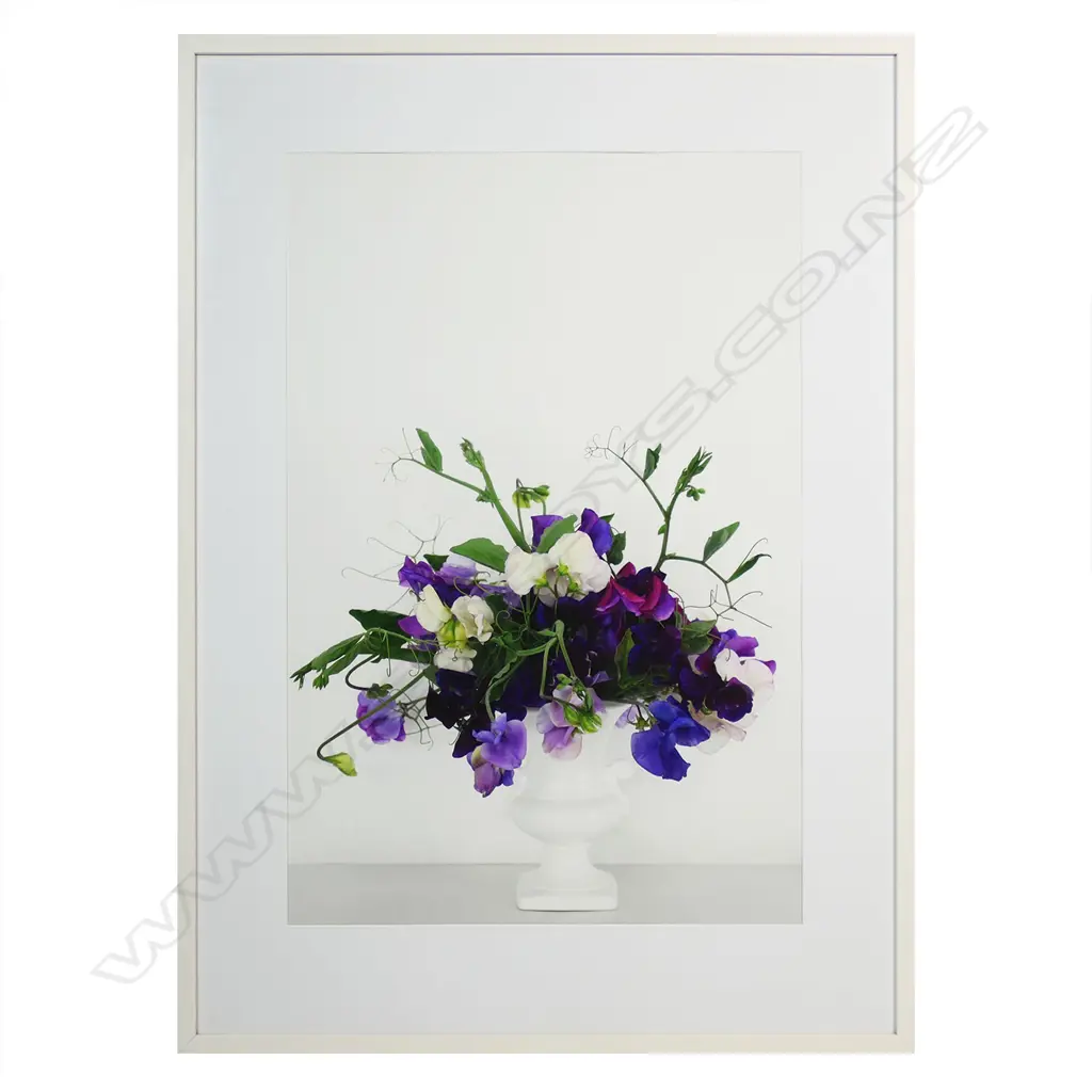 C. Gould 'Sweetpeas', Image 1++