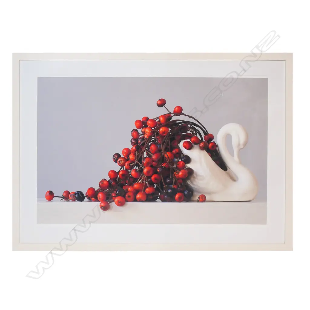 Emma Bass (NZ 1967-) 'Berries and Swan' - photograph, signed and entitled, 5.10pm 2012, 3/13. 820 x 1245mm. Image 1++