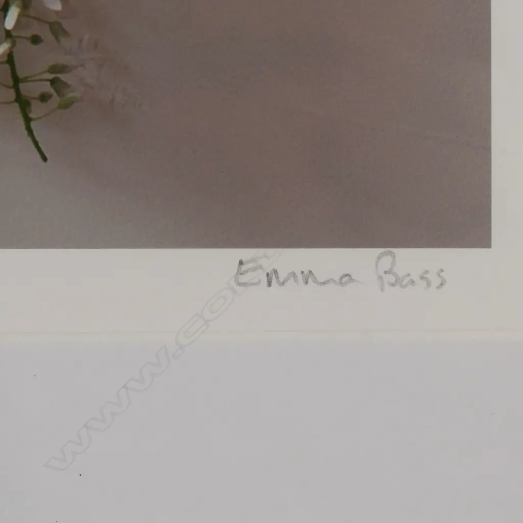 Emma Bass (NZ 1967-) 'Wisteria - Cherry Blossom - Iris & Peonies 8.11am' - limited edition Giclee print,  signed, entitled and numbered 1/20. 470 x 470mm. Frame with minor chips. Image 1++