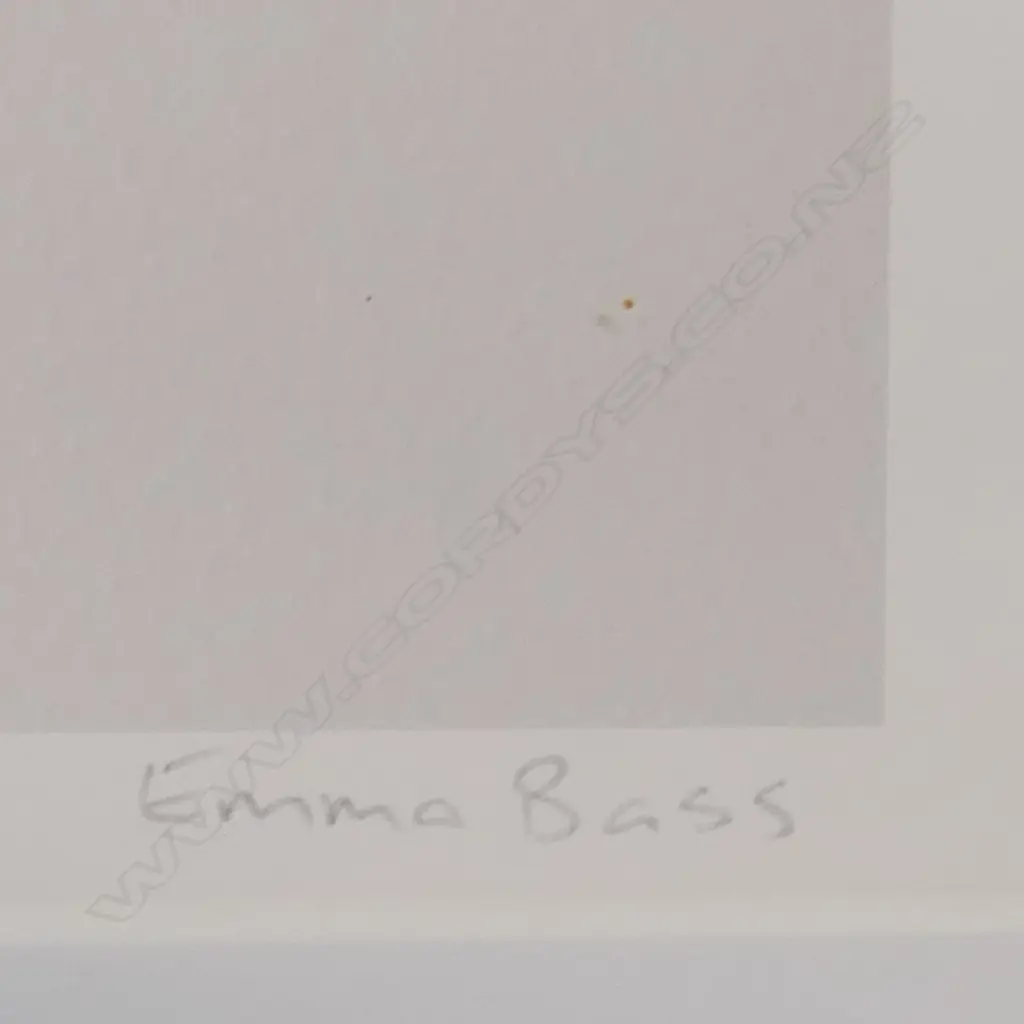 Emma Bass (NZ 1967-) 'Wisteria – Blossom - Magnolia and Dandielion 3.29pm' - limited edition Giclee print. Signed, entitled and numbered 1/1. 820 x 820mm. Frame with minor chips. Image 1++