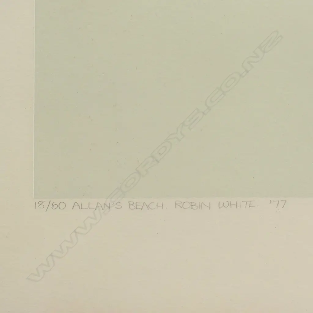 Robin White (1946-) 'Allan's Beach', screen print 18/60, Image 1++