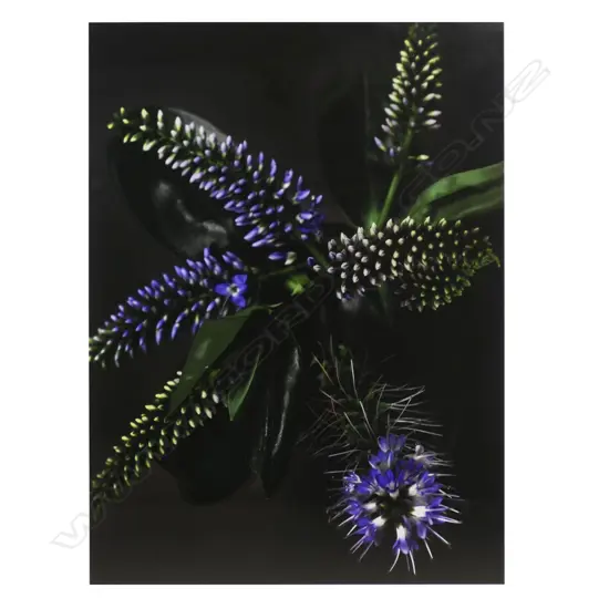 Jane Ussher (NZ 1953-) unique floral image,