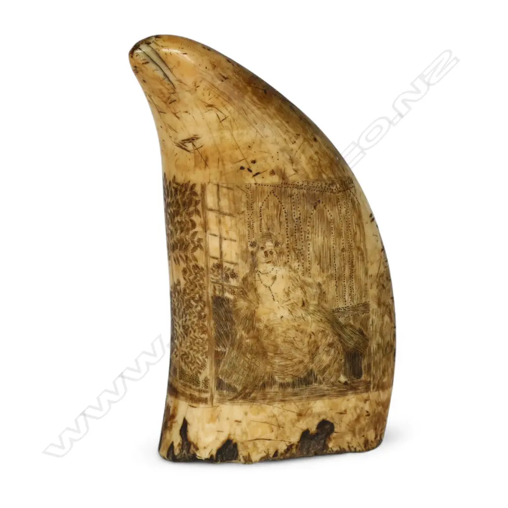 A 19thC sailor's scrimshawed whale's tooth, Image 1++