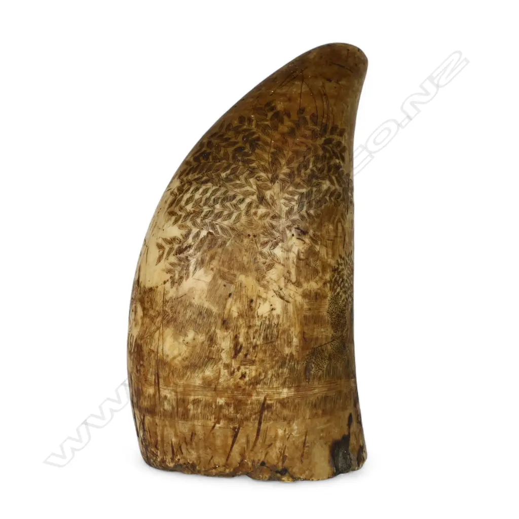 A 19thC sailor's scrimshawed whale's tooth, Image 1++