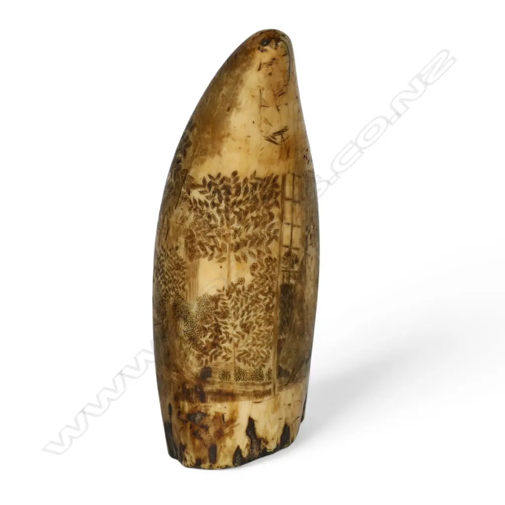 A 19thC sailor's scrimshawed whale's tooth, Image 1++