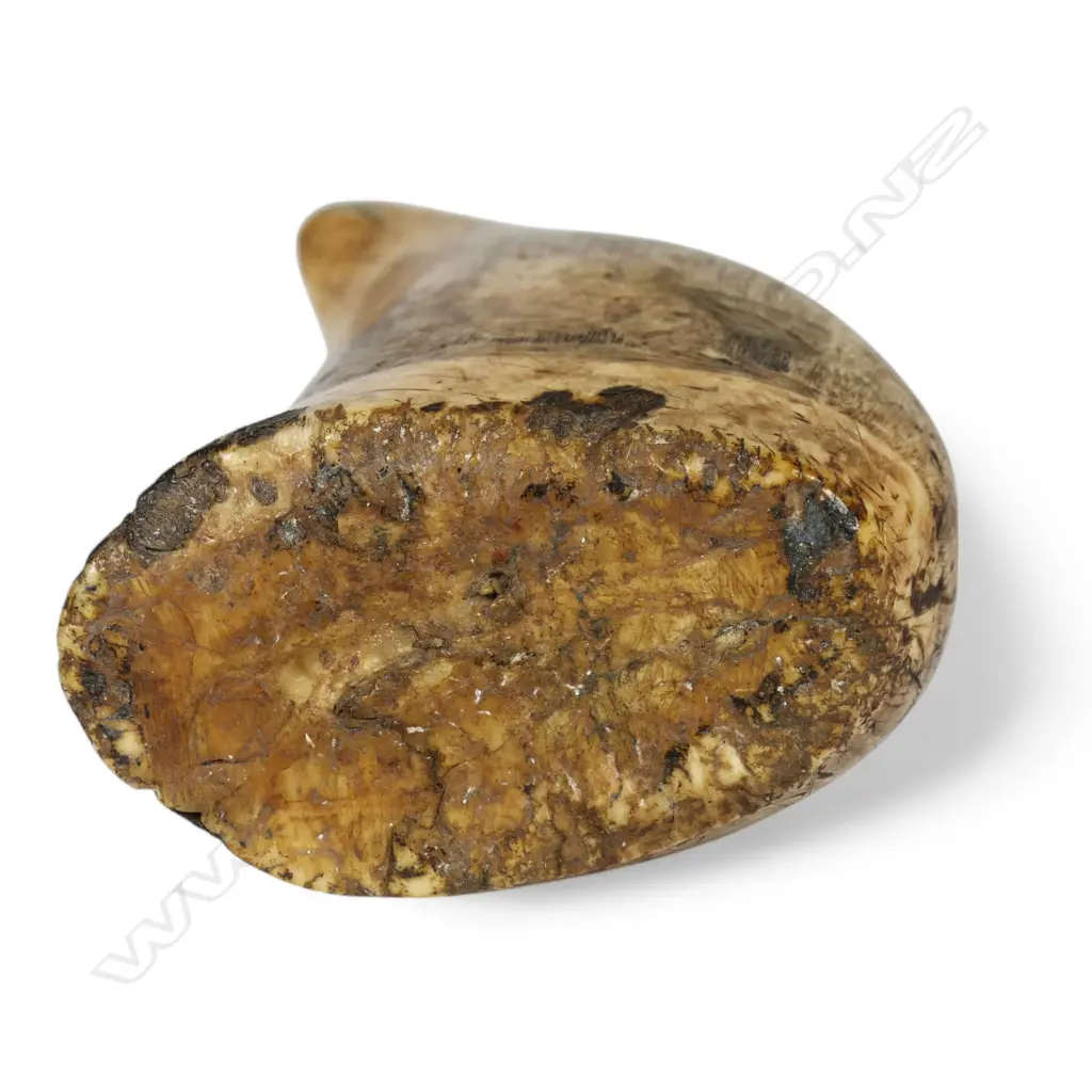 A 19thC sailor's scrimshawed whale's tooth, Image 1++