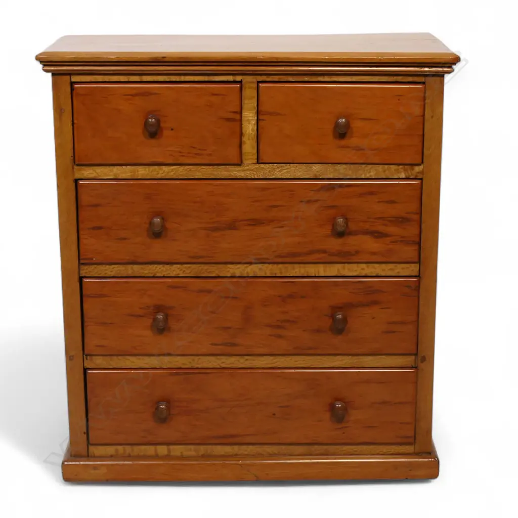 An early 20thC New Zealand colonial small / miniature collector's chest, Image 1++