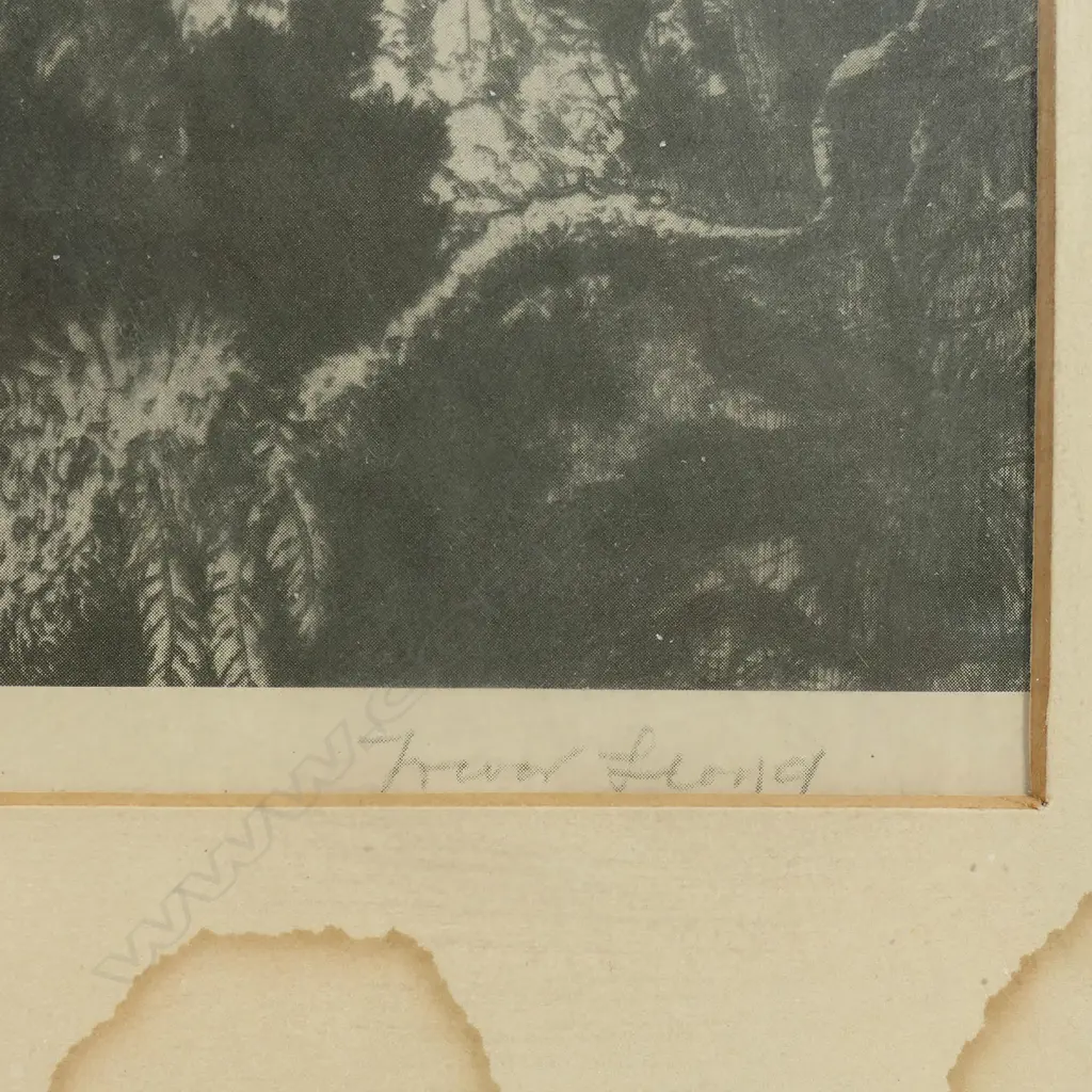 A Trevor Lloyd etching, Image 1++