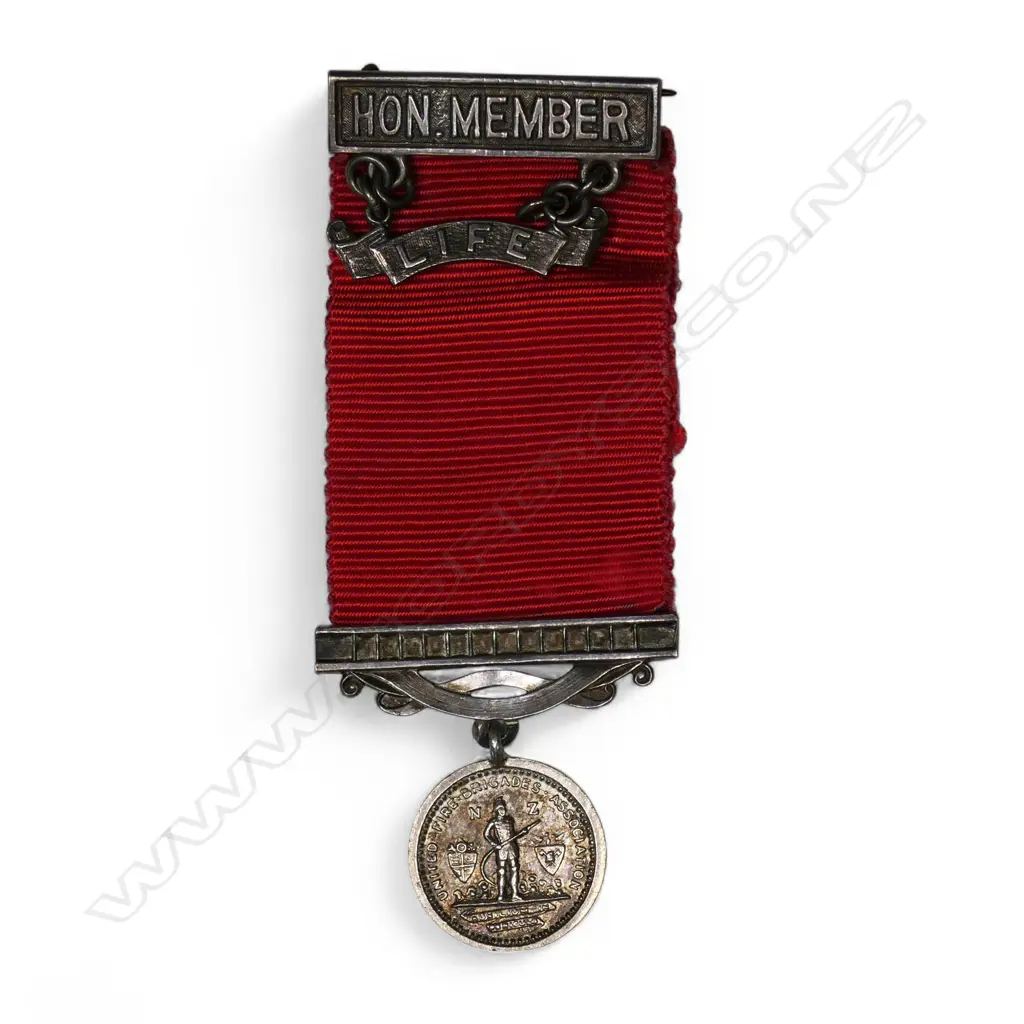David Butcher UFBA medal to D.L.G. Holmes (Waikanae), Image 1++