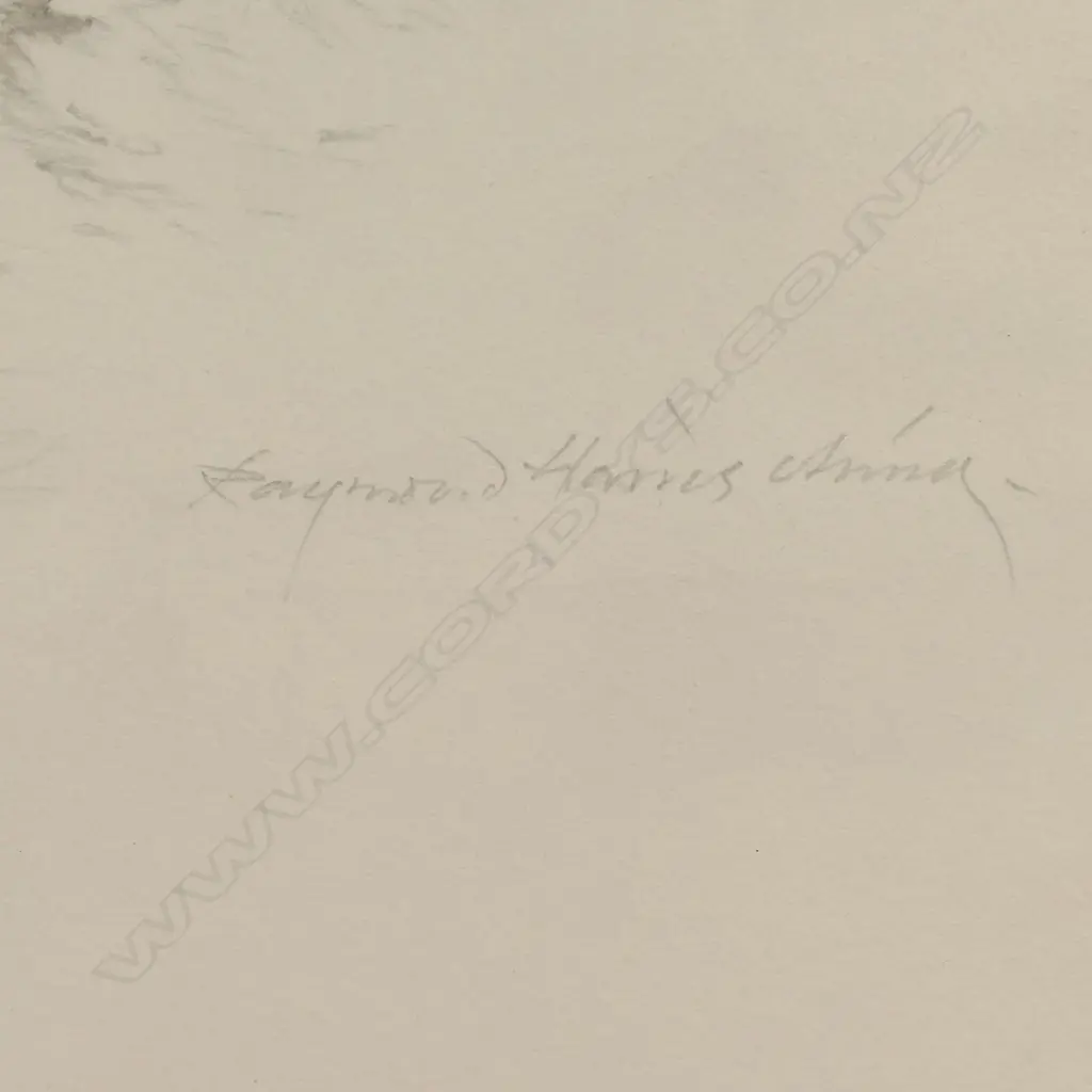 Raymond Ching (NZ 1939 - ) 'Tarapunga - Red Billed Gull Larus Novaehollandiae', Image 1++