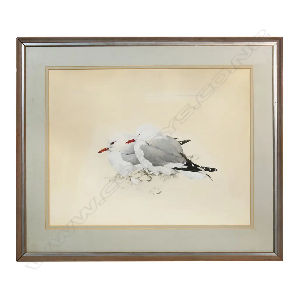 Raymond Ching (NZ 1939 - ) 'Tarapunga - Red Billed Gull Larus Novaehollandiae', Image 1++