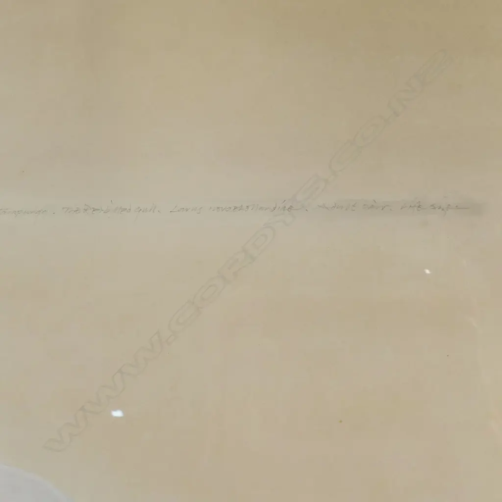 Raymond Ching (NZ 1939 - ) 'Tarapunga - Red Billed Gull Larus Novaehollandiae', Image 1++