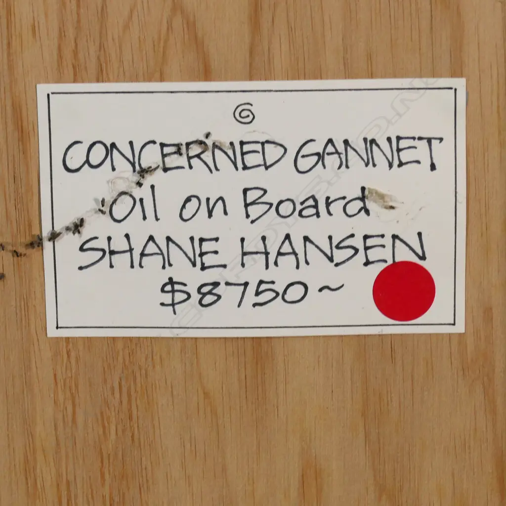 Shane Hansen (1972-) 'Concerned Gannet' Image 1++