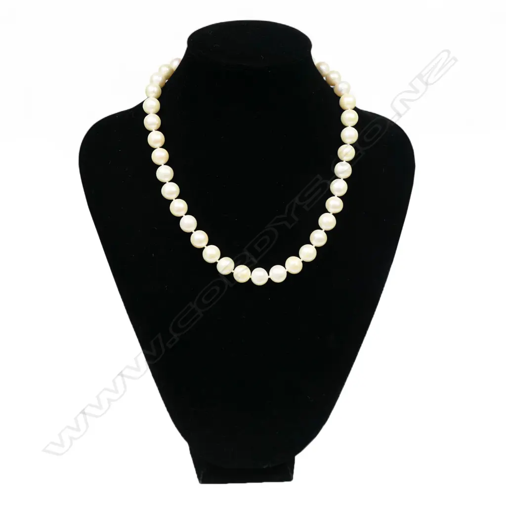 A quality strand of cultured pearls, Image 1++