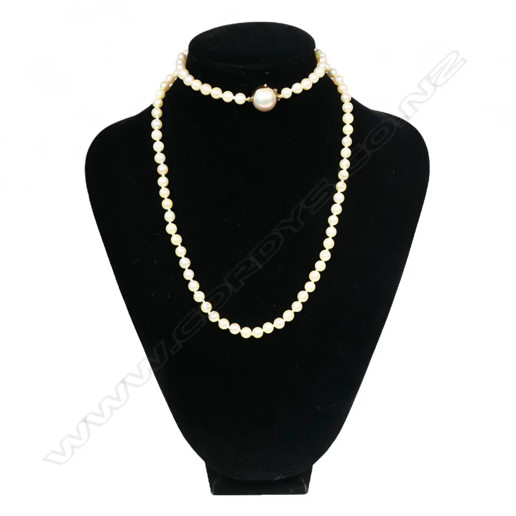 A long strand of uniform Akoya cultured pearls, Image 1++