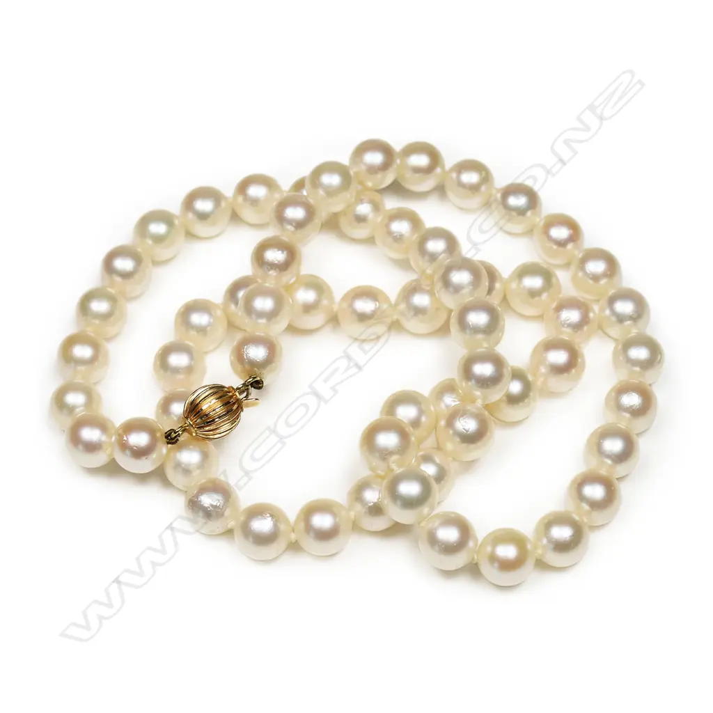 A cultured pearl necklace, Image 1++
