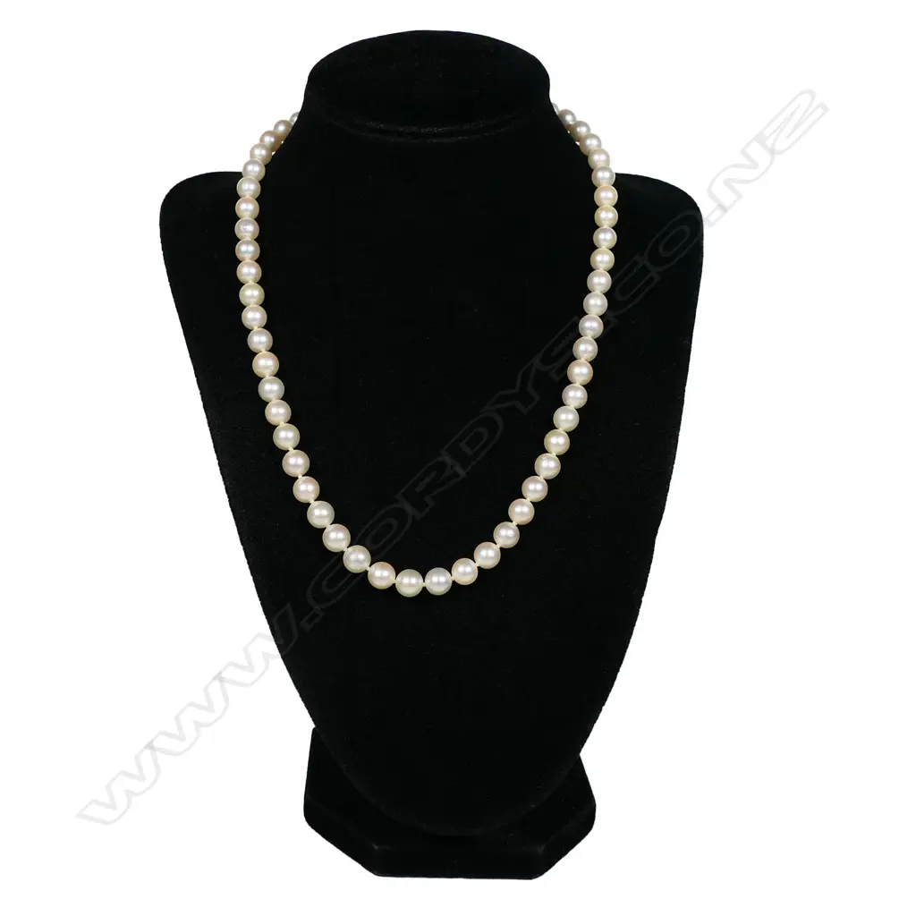 A cultured pearl necklace, Image 1++