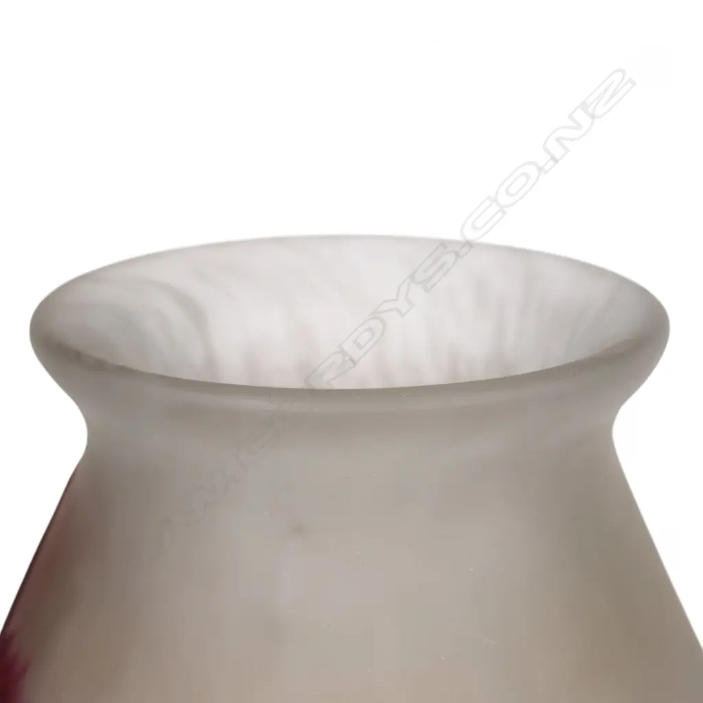 c.1900 Muller Frères Luneville cameo glass vase, Image 1++