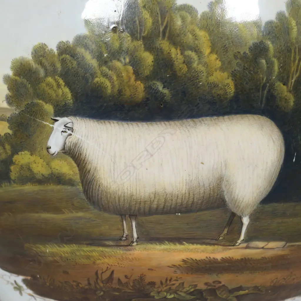 An early Victorian c.1840 monumental Coalport Porcelain Factory soft-paste jug, Image 1++