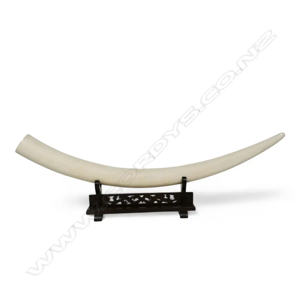 An ivory tusk with carved decoration, Image 1++