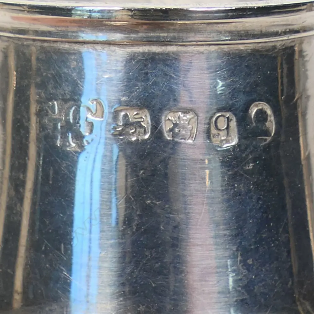A George III silver pepper castor, Image 1++