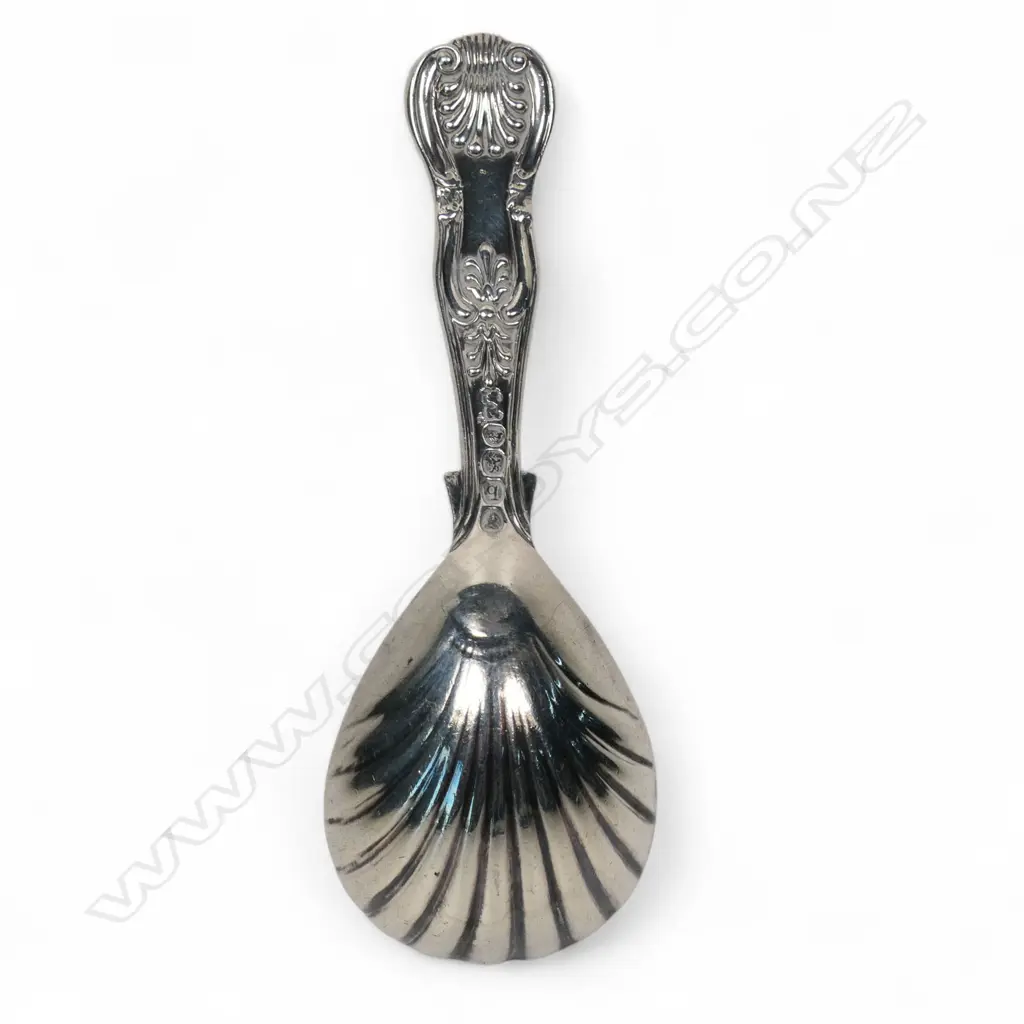 A William IV silver King's pattern caddy spoon, Image 1++