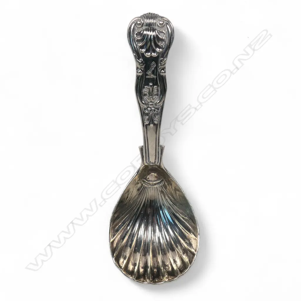 A William IV silver King's pattern caddy spoon, Image 1++