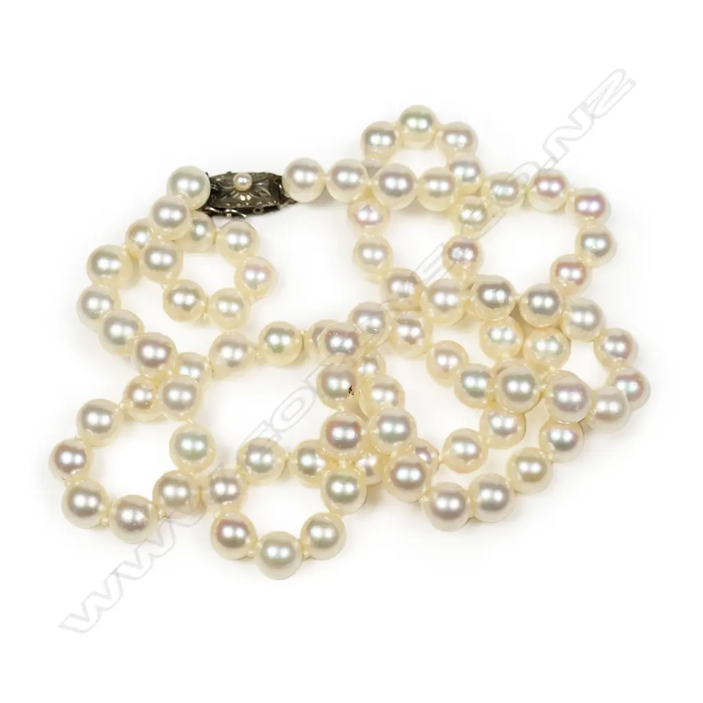 An Akoya pearl necklace, Image 1++