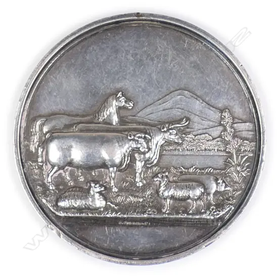 An '1869 NORTHERN AGRICULTURAL & PASTORAL ASSOCIATION OTAGO' medal,