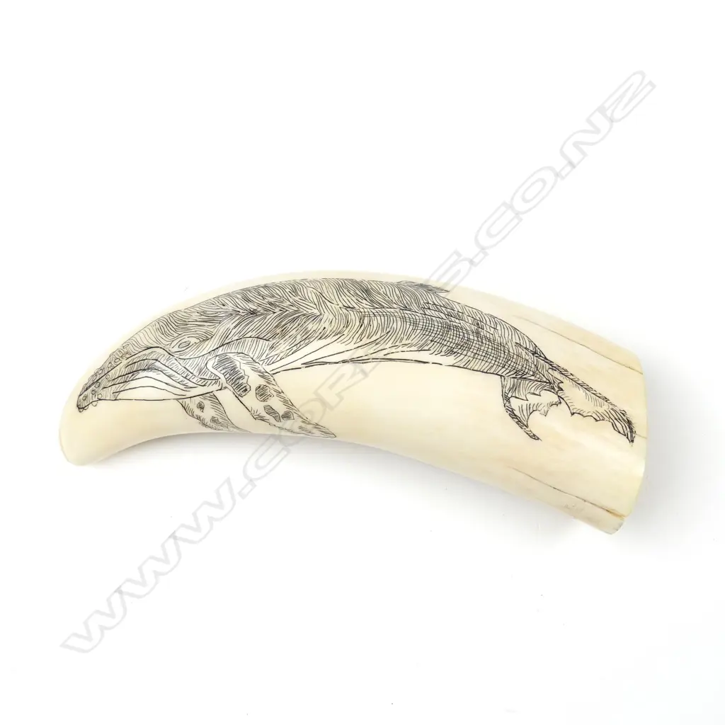 A quality 20thC scrimshaw tooth Image 1++