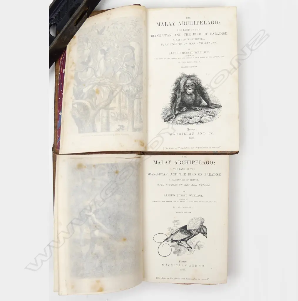 A rare and desirable 2nd edition - 'The Malay Archipelago: Image 1++