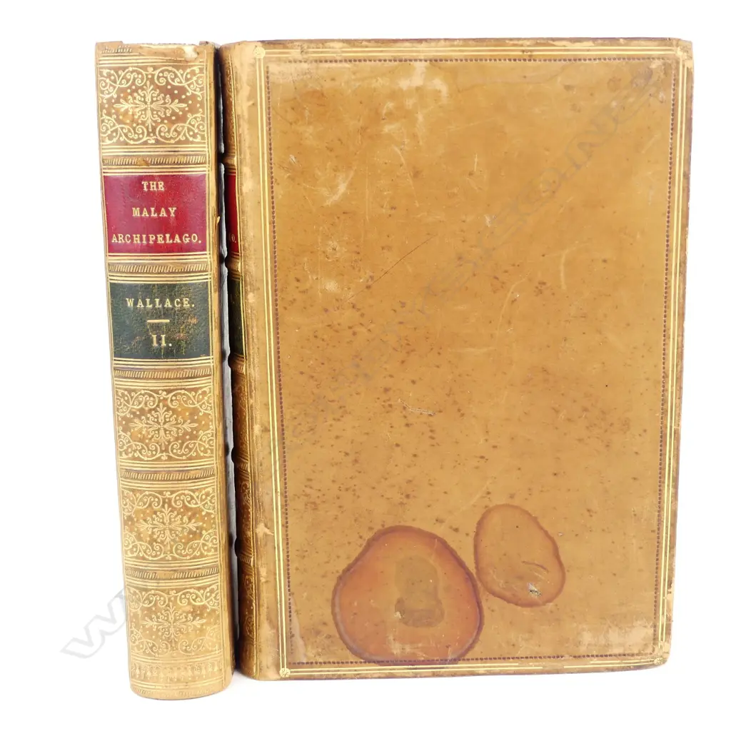 A rare and desirable 2nd edition - 'The Malay Archipelago: Image 1++