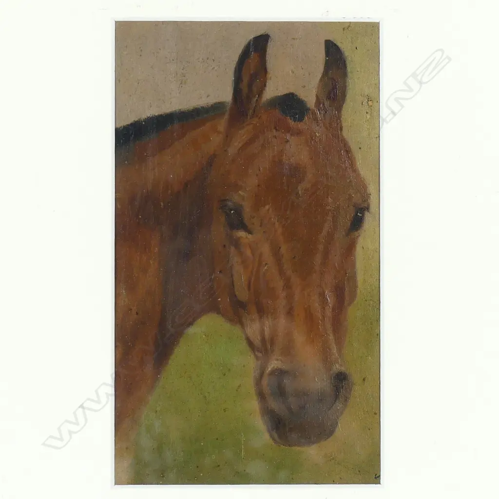 Two horse studies in oil Image 1++