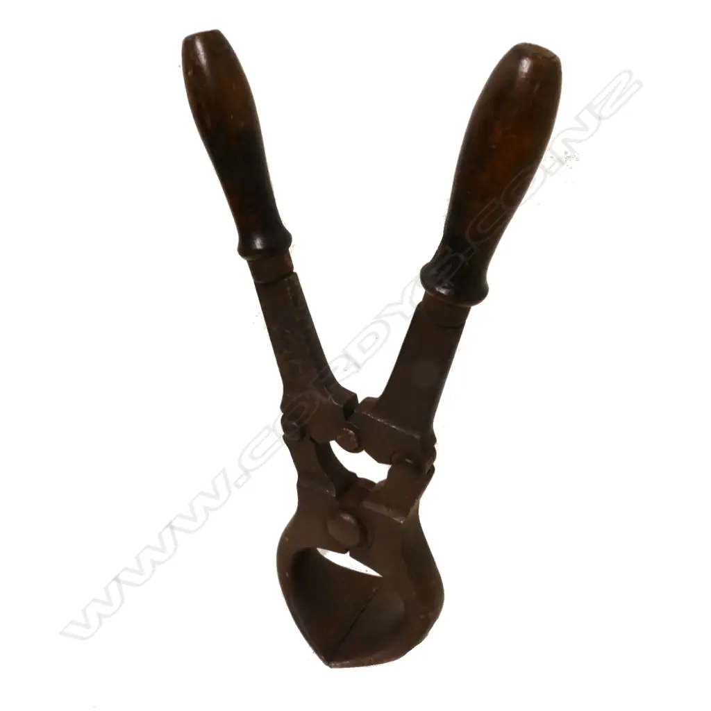 A large heavy pair of emasculator pincers Image 1++