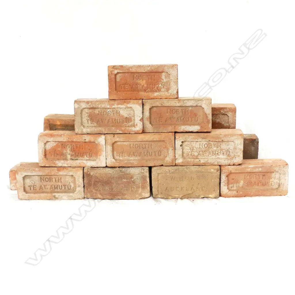Twenty N.Z bricks Image 1++